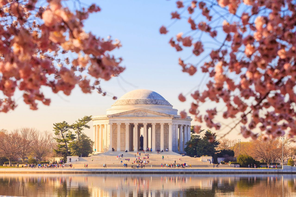 Trường Đại học American Univeristy