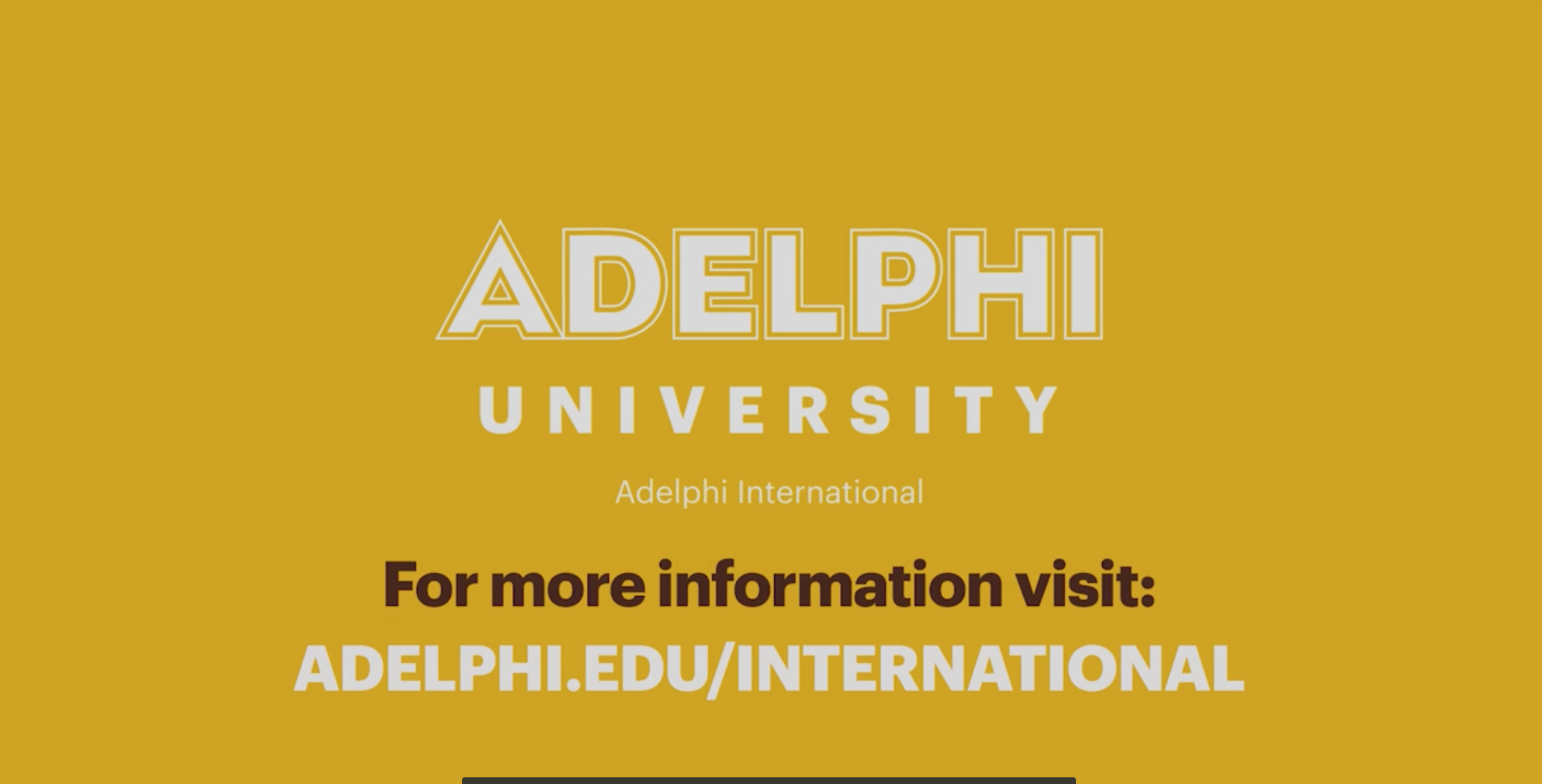 Trường Đại học Adelphi, Mỹ
