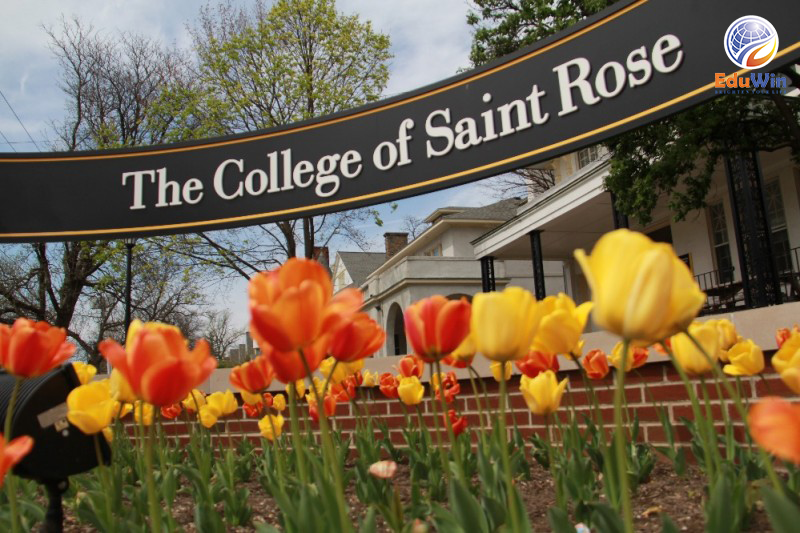 Đại học tại trường The College of Saint Rose