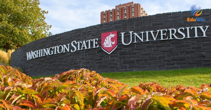 Trường Đại học Washington State University